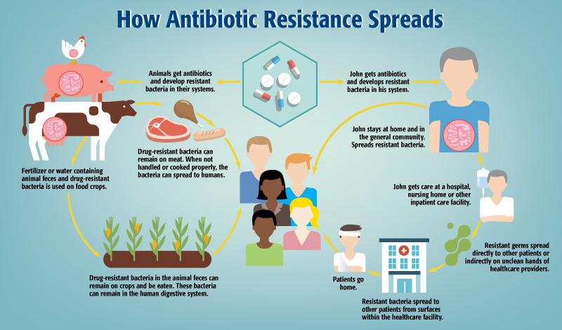 How to Explain Antimicrobial Resistance to Your Friends and Family (With  Infographics) - bioMérieux Connection