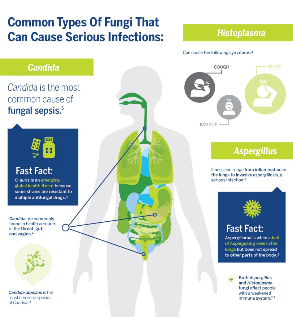 types of fungi on humans