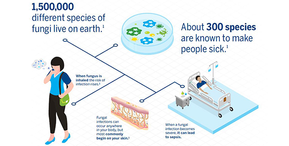 Invasive Fungal Infections Can Lead To Sepsis And Have A High Mortality Rate Biomerieux Connection